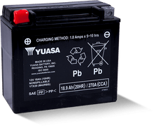 Load image into Gallery viewer, Yuasa YTX20 Maintenance Free AGM 12 Volt Battery