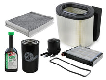 Load image into Gallery viewer, Photo - Primary