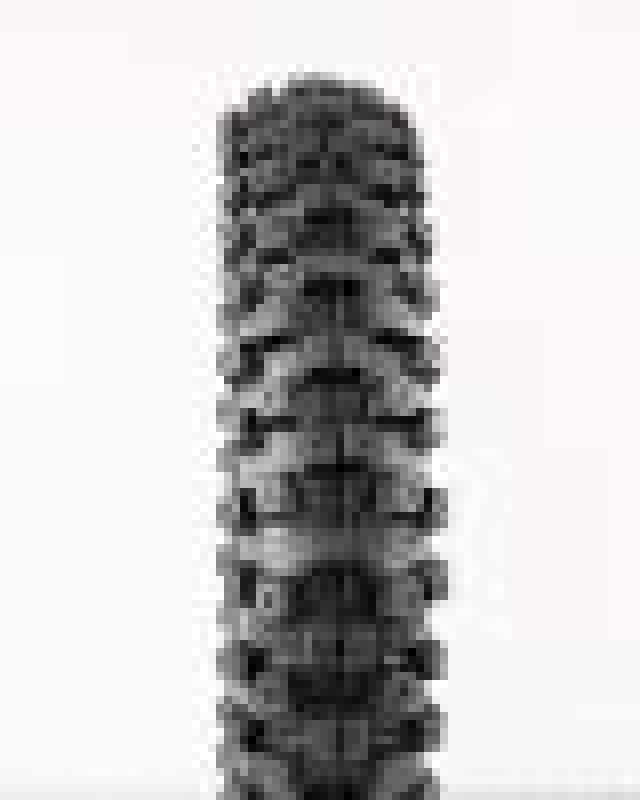 ProTaper MXT 04 Front Tire 70/100-19