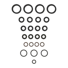 Load image into Gallery viewer, Photo - Primary