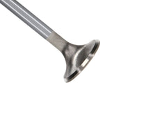 Load image into Gallery viewer, Manley Ford Modular Coyote 5.0L Gen III Race Master Series Exhaust Valve - 1.260in Dia