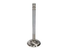 Load image into Gallery viewer, Manley Chevrolet Small Block Exhaust Valve Kit - 1.600in Head Dia. 5.165in O/A Length, 0.3415in Stem