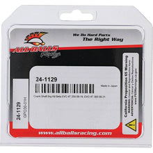 Load image into Gallery viewer, All Balls Racing Crank Bearing Kit