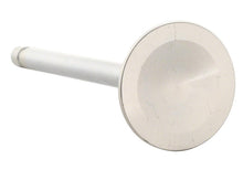 Load image into Gallery viewer, Ford Racing Exhaust Valve 302/351W