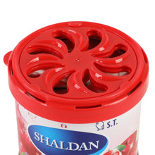 Load image into Gallery viewer, My Shaldan Apple Scented Car Air Freshener - 2.8oz Gel Can