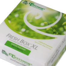 Load image into Gallery viewer, Tree Frog Fresh Box XL Air Freshener - Green Squash 400G