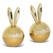 Load image into Gallery viewer, Rabbico Air Shine White Musk Vent Clip Air Freshener 2PC Set