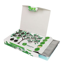 Load image into Gallery viewer, Super Apple Under Seat Car Air Freshener 200G Green Apple Scent