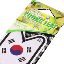Load image into Gallery viewer, Young Leaf Honeydew Melon Paper Hanging Air Freshener