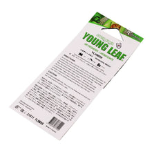 Load image into Gallery viewer, Young Leaf Honeydew Melon Paper Hanging Air Freshener