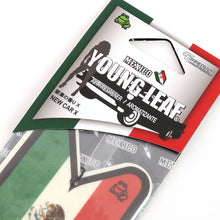 Load image into Gallery viewer, Mexico Flag New Car Scent Paper Hanging Air Freshener