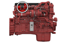 Load image into Gallery viewer, HPS Performance CAC-3687223 4-ply aramid reinforced fluorolined silicone