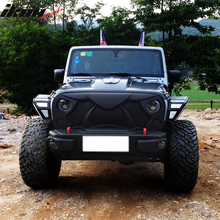 Load image into Gallery viewer, 2007-2018 Jeep Wrangler JK JKU Cobra Front Cobra Grille Guard Insert