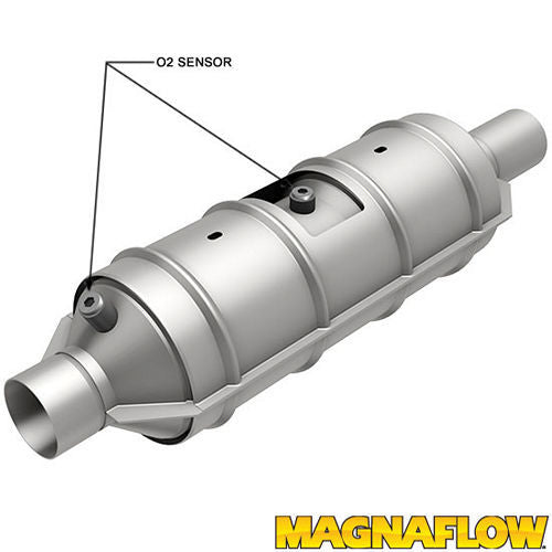MAG55300.jpg