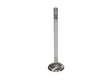 Load image into Gallery viewer, Manley Ford Modular Coyote 5.0L Gen III Race Master Series Exhaust Valve Set - 1.260in Dia