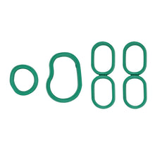 Load image into Gallery viewer, Photo - Primary