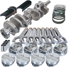 Load image into Gallery viewer, Photo - Primary