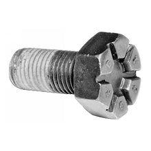 Load image into Gallery viewer, Photo - Unmounted