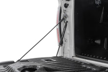 Load image into Gallery viewer, Tailgate Assist | Ford F-150 2WD/4WD (2004-2014)