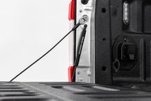 Load image into Gallery viewer, Tailgate Assist | Ford F-150/F-250/F-350 2WD/4WD (2015-2026)