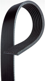 Gates 02-04 Toyota Camry 4-Cyl. 2.4L Serpentine Standard V-Ribbed Belt