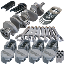 Load image into Gallery viewer, Photo - Primary