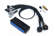 Load image into Gallery viewer, Haltech Nexus S3 Plug-n-Play Adapter Harness