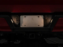 Load image into Gallery viewer, Raxiom 15-23 Ford F-150 Axial Series OEM Replacement License Plate Lamps