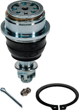 Load image into Gallery viewer, Photo - Primary