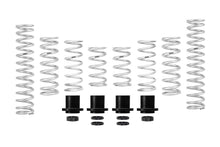Load image into Gallery viewer, Eibach Pro-UTV 19-20 Polaris RZR XP 1000 Turbo 2-Seat Stage 3 HD Performance Spring System