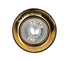 Load image into Gallery viewer, NRG Fender Washer Kit w/ Rivets For Plastic (Chrome Gold) - Set of 10