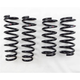 RS-R 09-13 Mazda Mazda 6 (GH5FW) Down Sus Springs