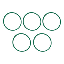 Load image into Gallery viewer, Photo - Primary