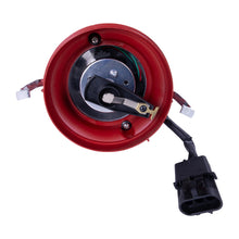 Load image into Gallery viewer, Photo - Unmounted