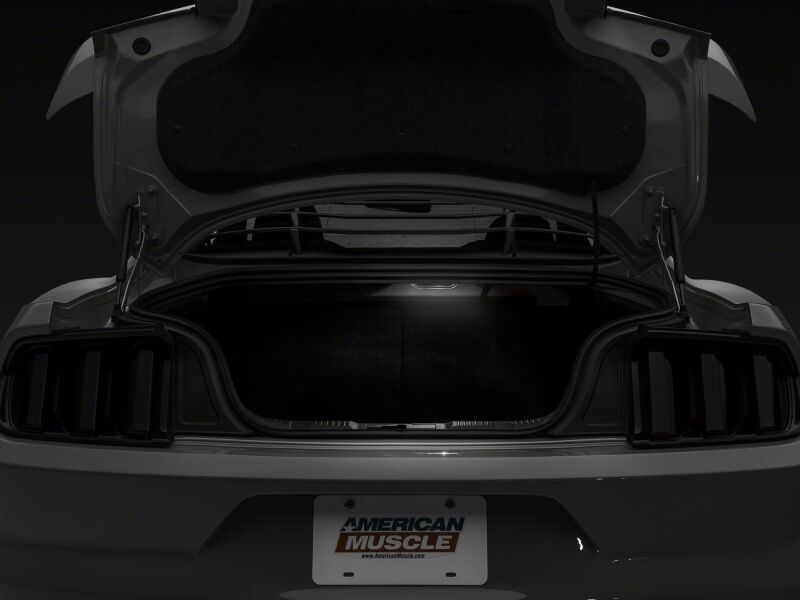 Raxiom 15-23 Ford Mustang Axial Series Stage 1 Interior LED Lighting Kit- Cool White