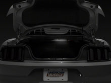 Load image into Gallery viewer, Raxiom 15-23 Ford Mustang Axial Series Stage 1 Interior LED Lighting Kit- Cool White