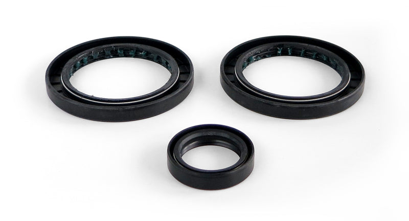 EPI 99-04 Polaris 300-650 Magnum/Sportsman Differential Seal Kit