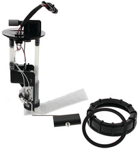 Load image into Gallery viewer, Photo - Primary