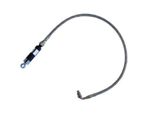 Load image into Gallery viewer, Photo - Primary