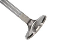 Load image into Gallery viewer, Manley Volkswagen 1.2L Type I Exhaust Valve Kit 37.50mm Head Dia. 4.405in O/A Length, 0.3130in Stem