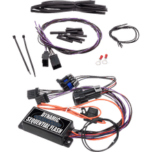 Load image into Gallery viewer, Badlands 2014+ Big Twin RBT Dynamic Sequential Module