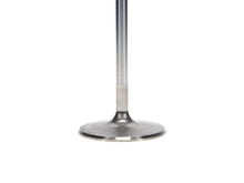 Load image into Gallery viewer, Manley Chevrolet Big Block Intake Valve Kit - 2.300in Head Dia. 5.244in O/A Length, 0.3110in Stem