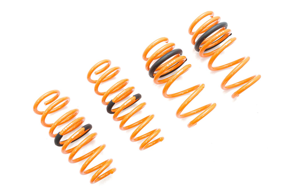Tesla Model 3 AWD 17+ (EXC RWD) Lowering Springs -- MR-LS-TSL317X