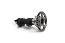 Load image into Gallery viewer, Hot Cams 2019-2020 Honda CRF 450 RWE 450cc Stage 1 Cam