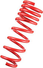 Load image into Gallery viewer, Tanabe DF210 Springs 09-14 Fit
