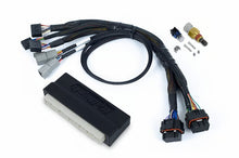 Load image into Gallery viewer, Haltech Honda EP3 Nexus S2/S3 Plug-n-Play Adapter Harness