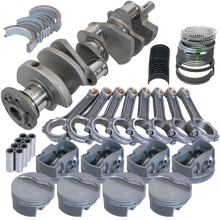 Load image into Gallery viewer, Photo - Primary