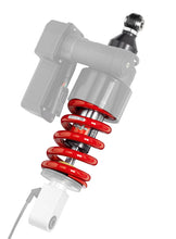 Load image into Gallery viewer, Photo - Primary