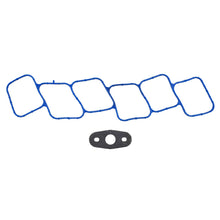 Load image into Gallery viewer, Photo - Primary