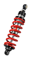 Load image into Gallery viewer, Photo - Primary